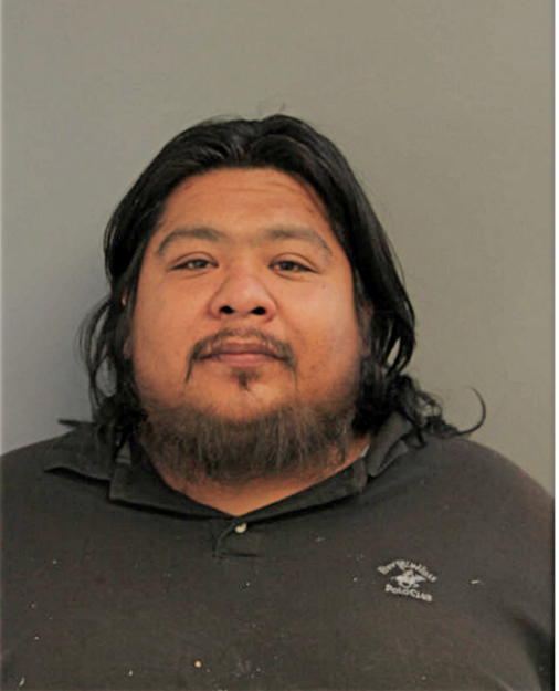 ARMANDO CASTREJON, Cook County, Illinois