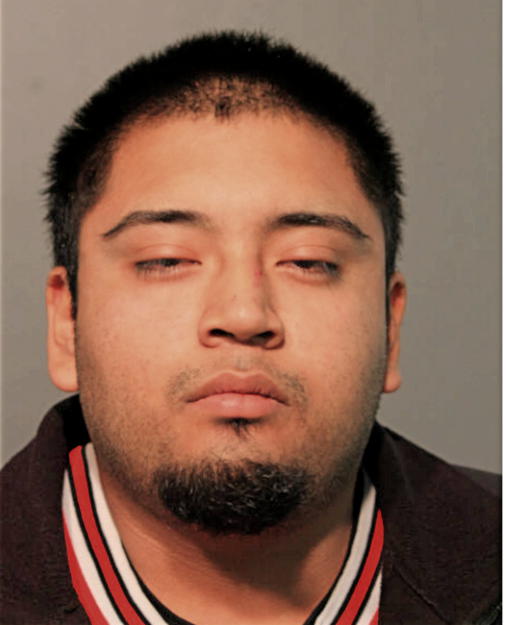 VICTOR D GERARDO, Cook County, Illinois