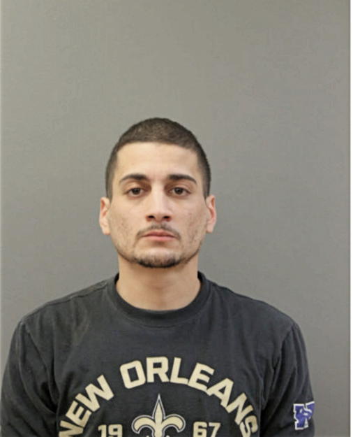 ANDRE L GONZALEZ, Cook County, Illinois