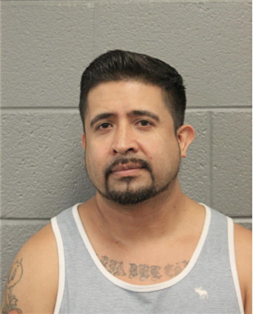 JULIO GONZALEZ, Cook County, Illinois
