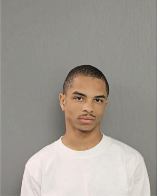 LEONARD C JOHNSON, Cook County, Illinois