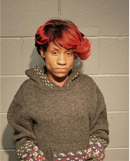 SHONAT L JOHNSON, Cook County, Illinois