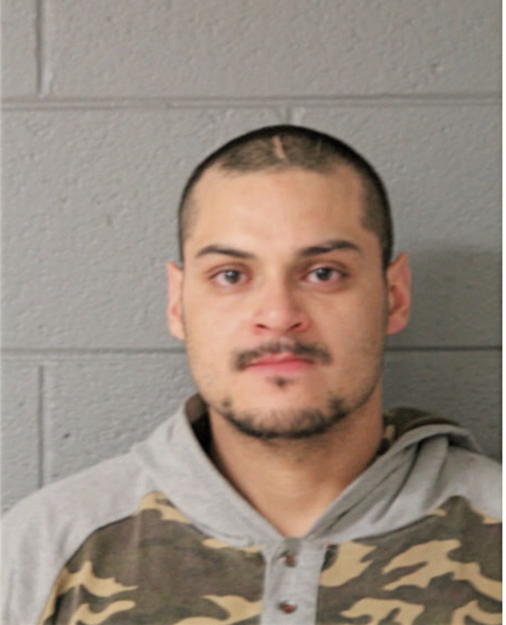 MICHAEL R LOVERING, Cook County, Illinois