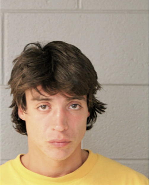 CARLOS M MONTERO, Cook County, Illinois