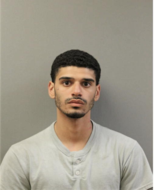ARMANDO C MORALES, Cook County, Illinois