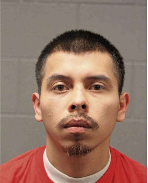 BENJAMINE OCHOA, Cook County, Illinois