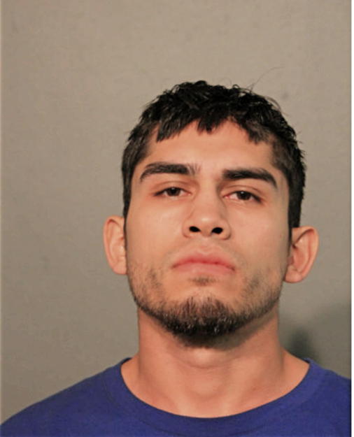 JOEY A ORTIZ, Cook County, Illinois