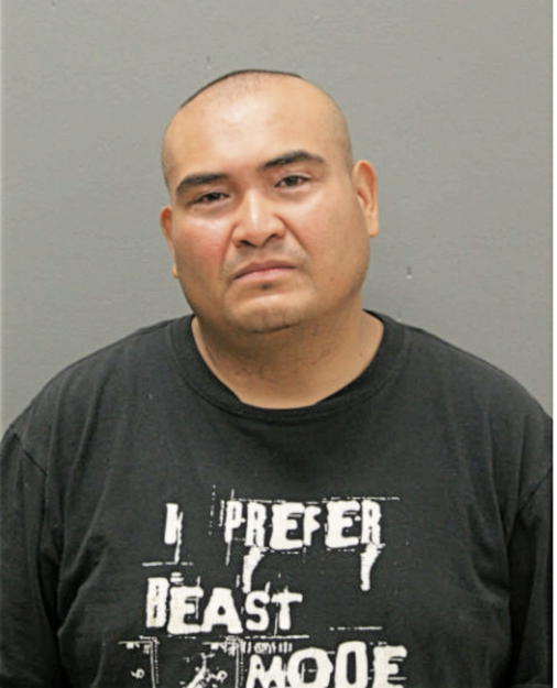 INGMAR PADILLA, Cook County, Illinois