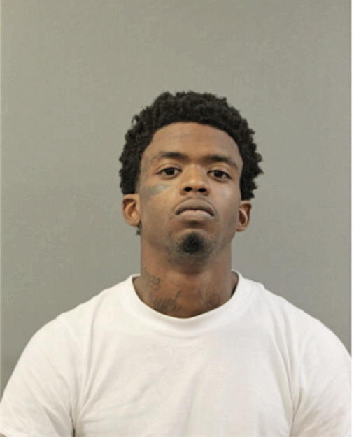 KENYON J SAVAGE, Cook County, Illinois
