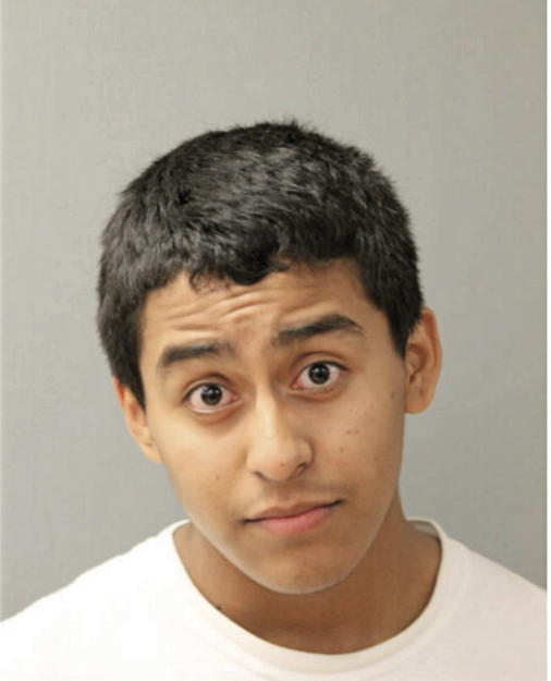 ELMER EDUARDO VIVERO, Cook County, Illinois