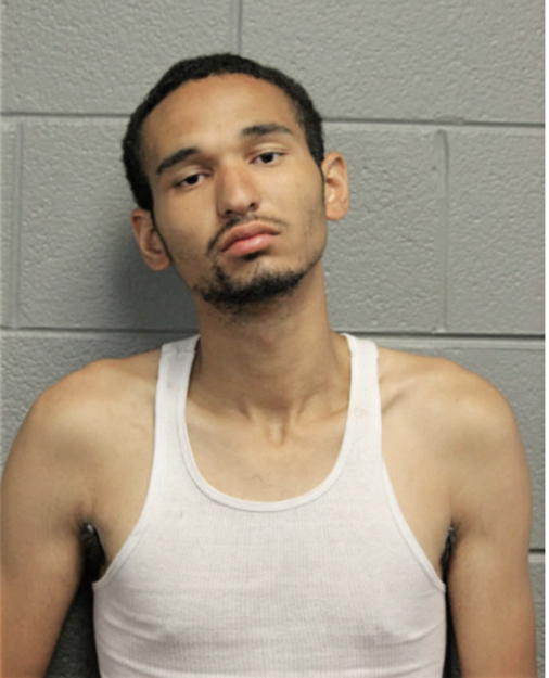 YVES D WATSON, Cook County, Illinois