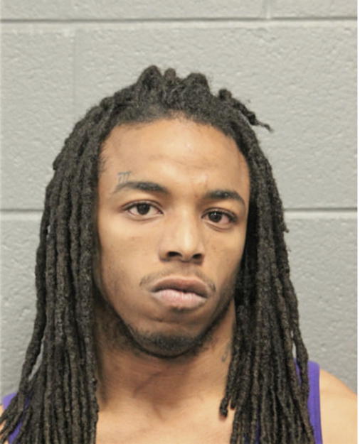 LANELLE T WHITE, Cook County, Illinois
