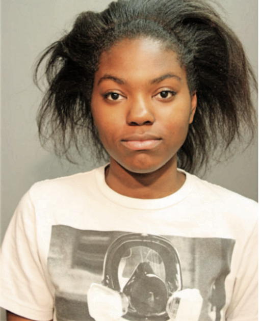 LAUREN R WHITE, Cook County, Illinois