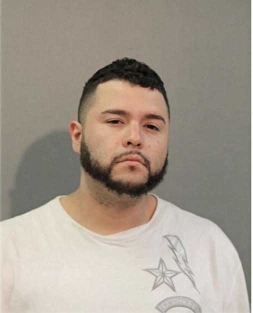 CESAR ALVARADO, Cook County, Illinois