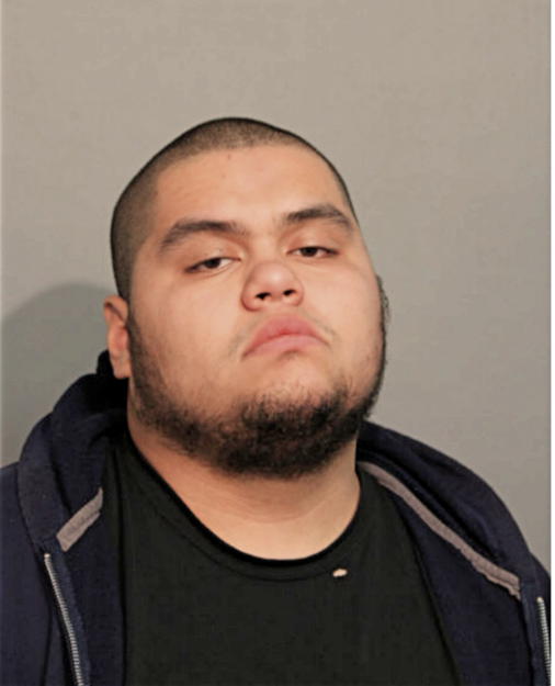 EFREN J ARITZMENDI, Cook County, Illinois