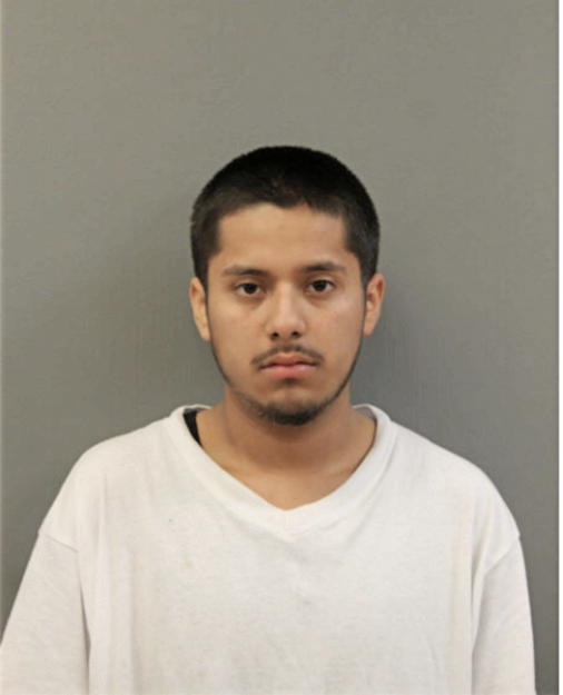 ALEXIS AVELAR, Cook County, Illinois