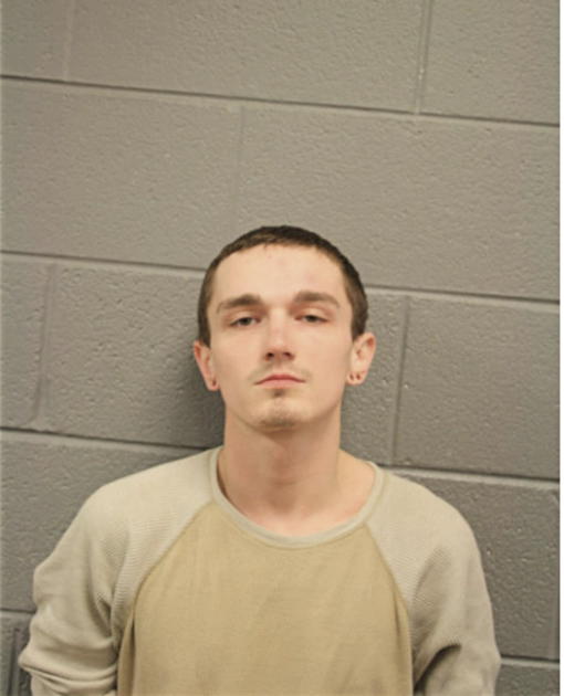 BRANDON J BROWN, Cook County, Illinois
