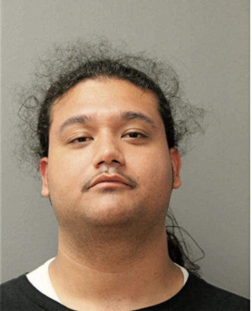 JAVIER DELGADO, Cook County, Illinois