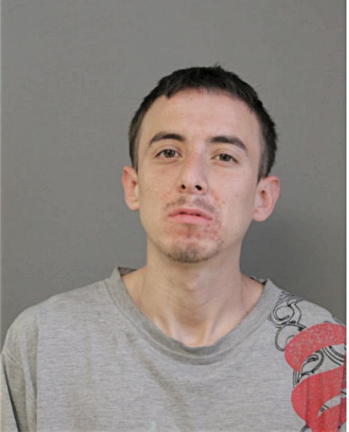 CARLOS FERNANDEZ, Cook County, Illinois