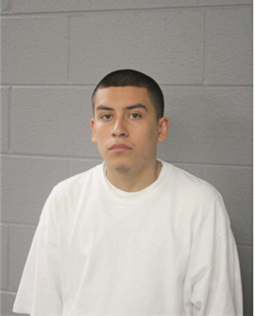 GIOVANI GALVAN, Cook County, Illinois