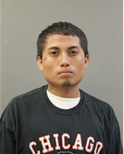 DAVID GONZALEZ, Cook County, Illinois