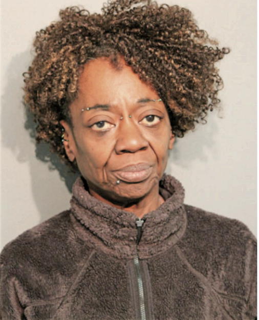 LAURA A HARDIN, Cook County, Illinois