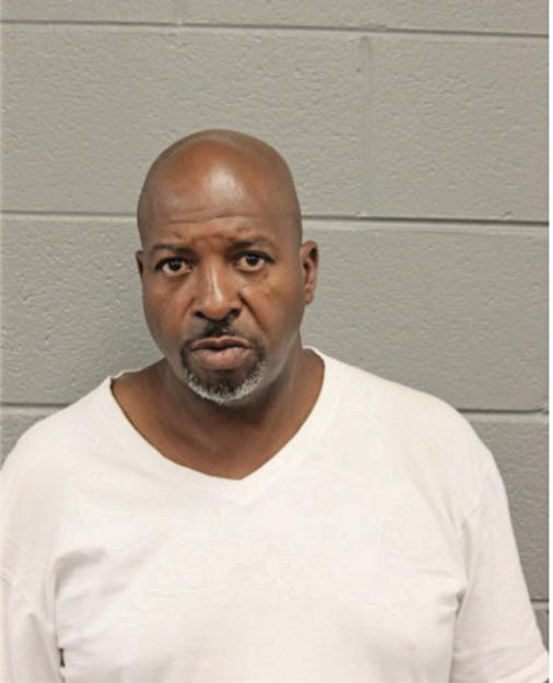 MICHAEL G HINES, Cook County, Illinois