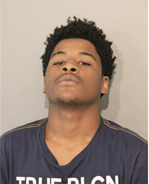 JALEEN T JONES, Cook County, Illinois