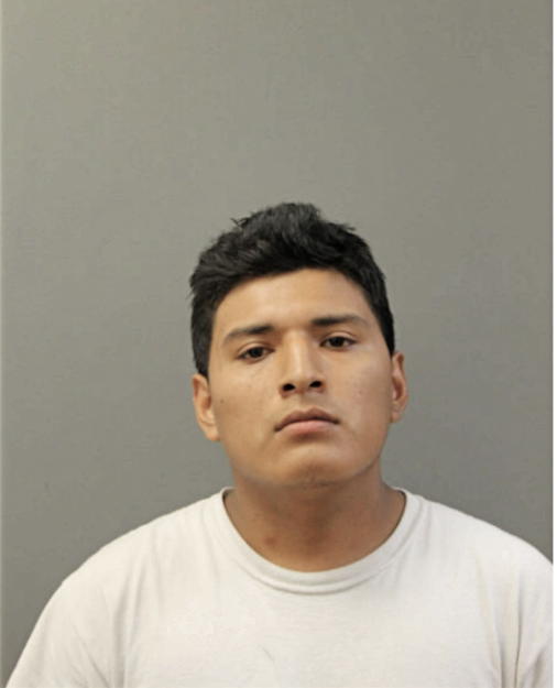 STEVE J LLAPA-FAJARDO, Cook County, Illinois