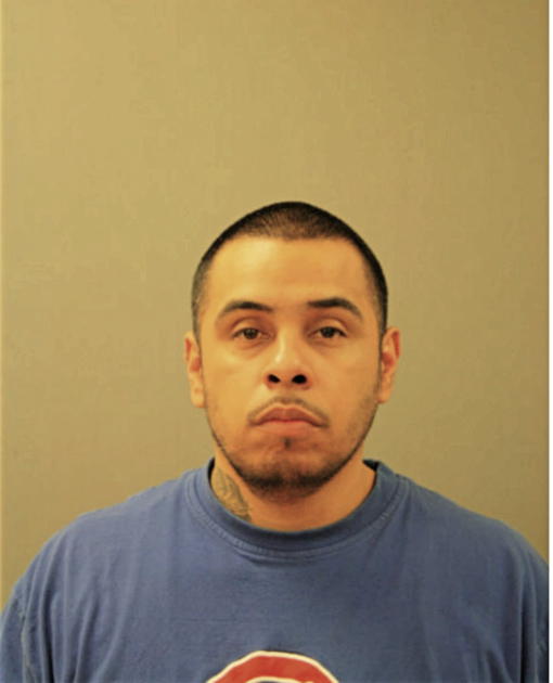 SERGIO G ORTEGA, Cook County, Illinois