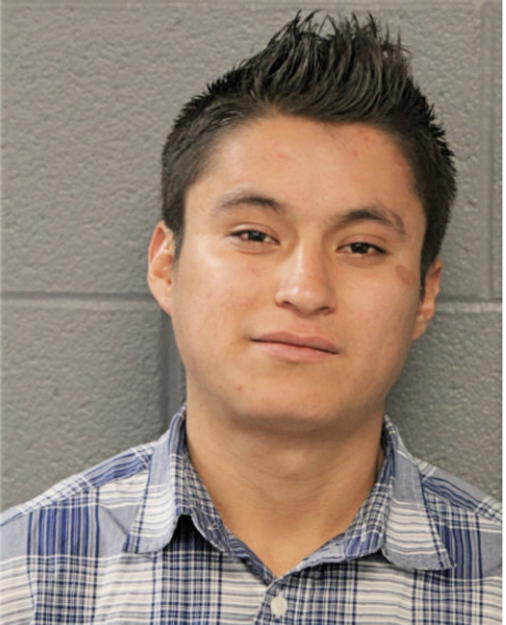 MIGUEL ROAS, Cook County, Illinois