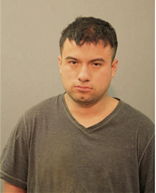 RODOLFO EMANUAL RODAS, Cook County, Illinois