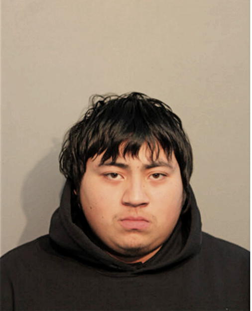 JESSE J SANCHEZ, Cook County, Illinois