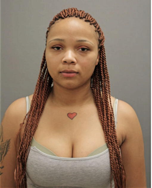 MICHELLE T SANDERS, Cook County, Illinois