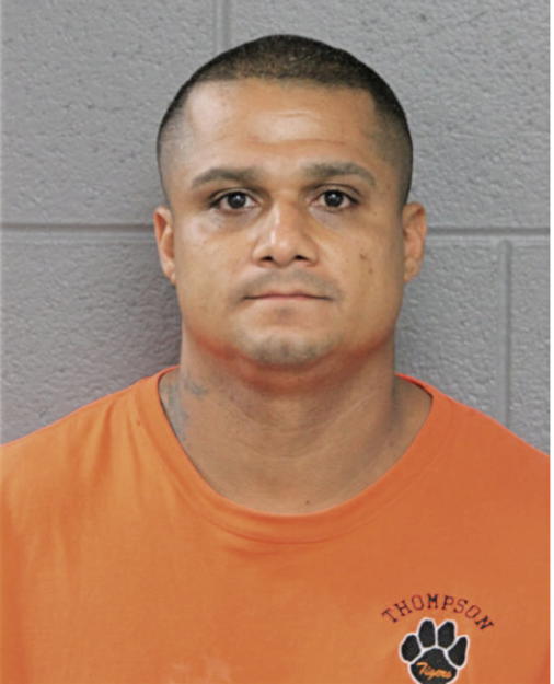 SALVADOR SANDOVAL, Cook County, Illinois