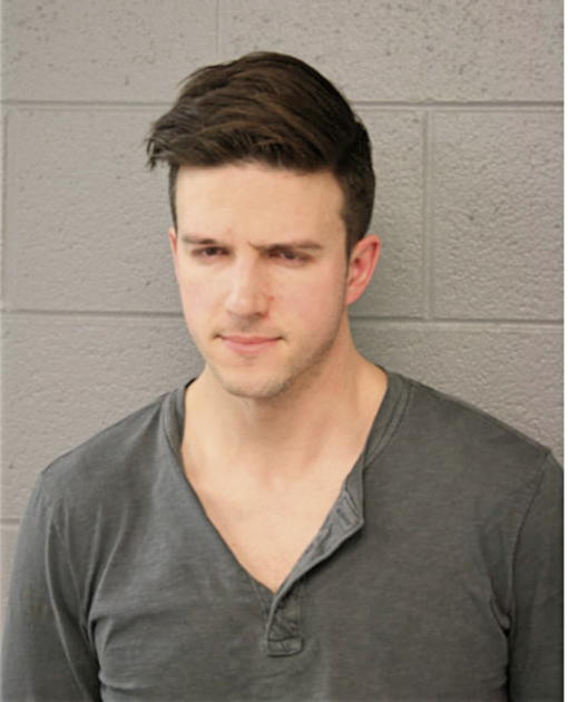 MICHAEL S SARSFIELD, Cook County, Illinois