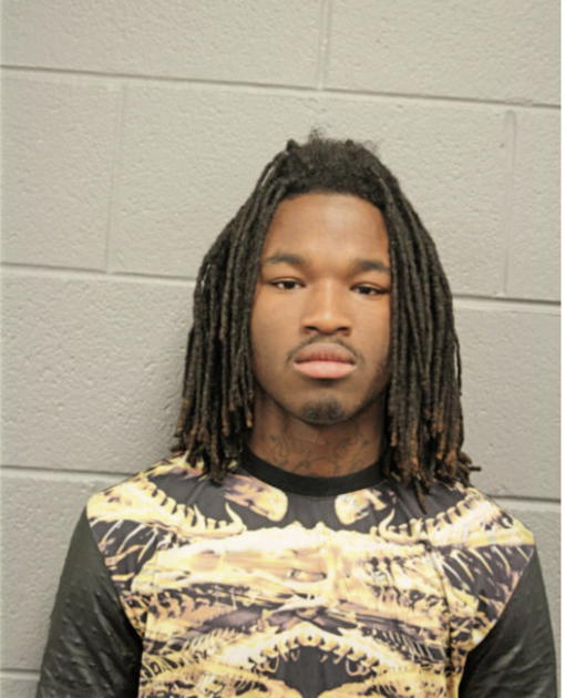 DERRICK S STEWART, Cook County, Illinois