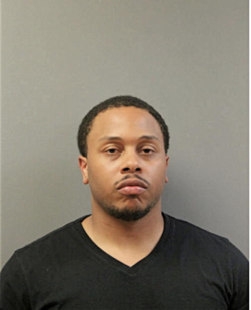 WILLIAM J VAUGHN, Cook County, Illinois