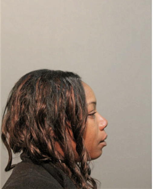SHENELL L WASHINGTON, Cook County, Illinois