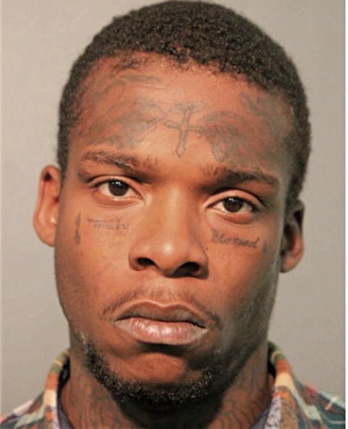 BRIAN J WILLIS, Cook County, Illinois