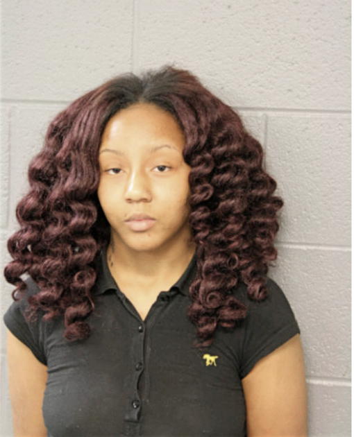 ARION D WOMACK, Cook County, Illinois