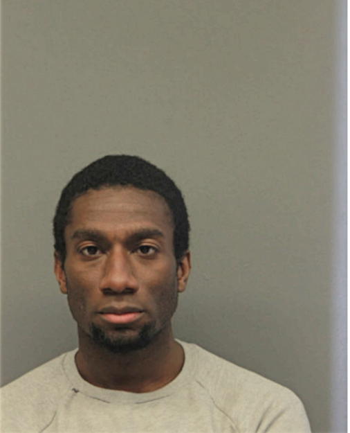 DONALD D WOODS, Cook County, Illinois