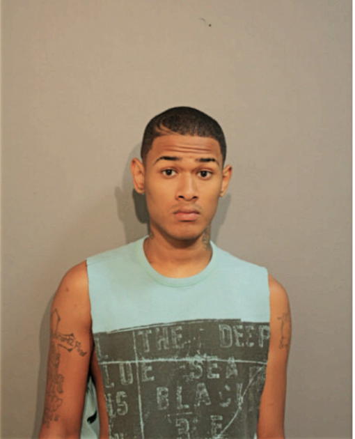 WILLIAM B ANDERSON, Cook County, Illinois