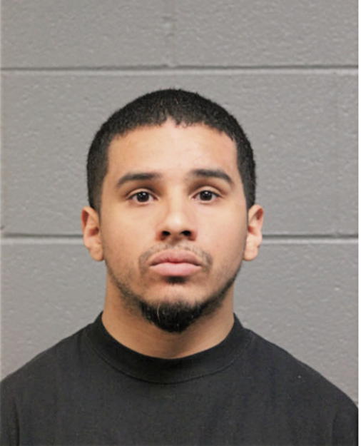 HECTOR R ARCE, Cook County, Illinois