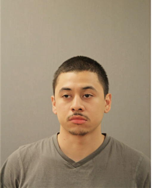 CARLOS JONATAN BAHENA, Cook County, Illinois