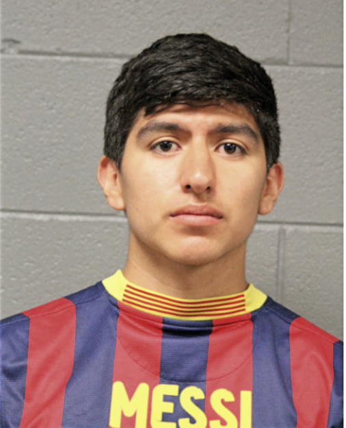DAVID R CARDENAS, Cook County, Illinois