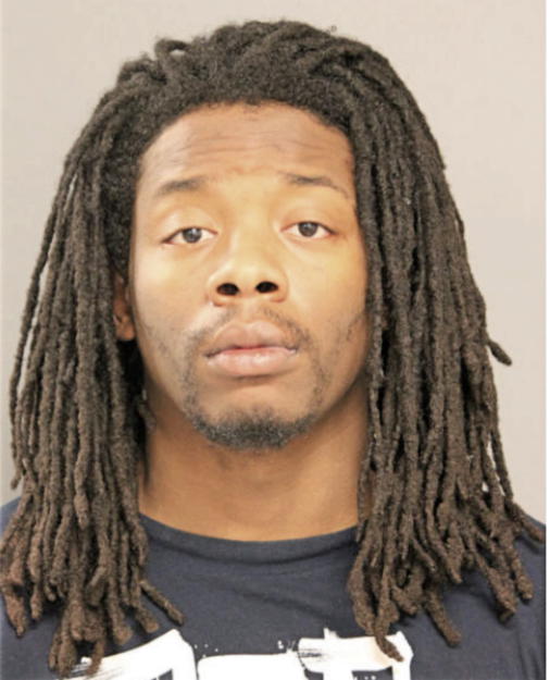 BRANDON D DEES, Cook County, Illinois