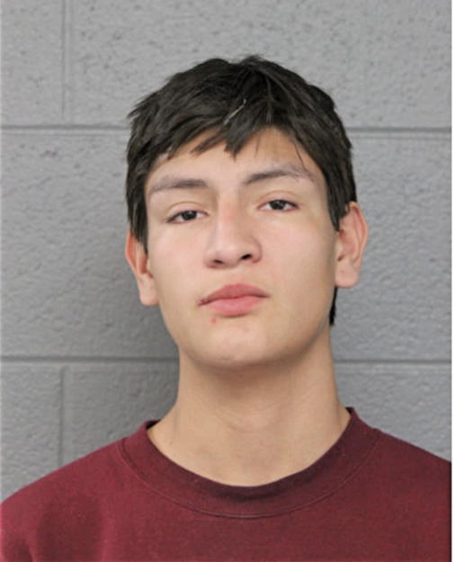 MIGUEL ESTRADA, Cook County, Illinois