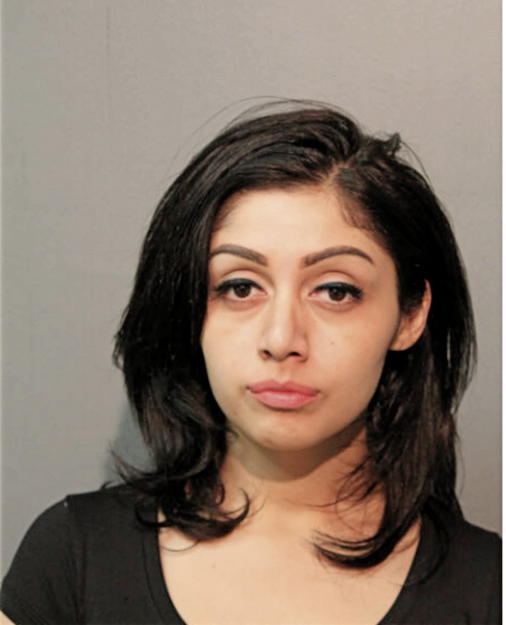 ELIZABETH R GUZMAN, Cook County, Illinois