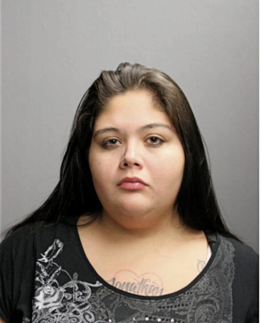 MEGAN L HERRON, Cook County, Illinois